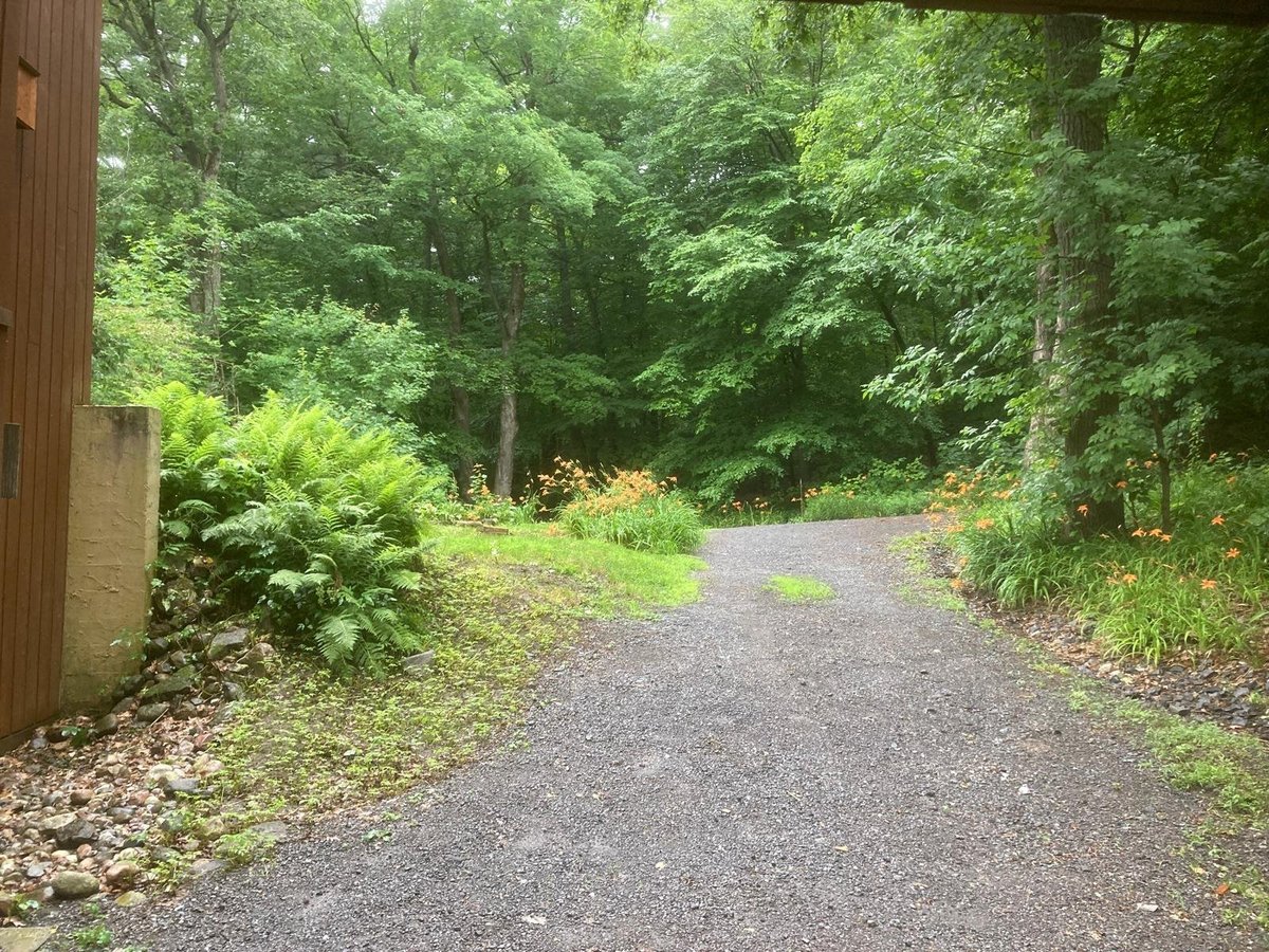 100 Rue Edgewood - Photo 2