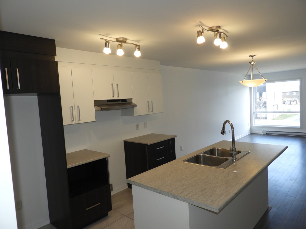 323 Avenue de l'Hippodrome - Photo 3