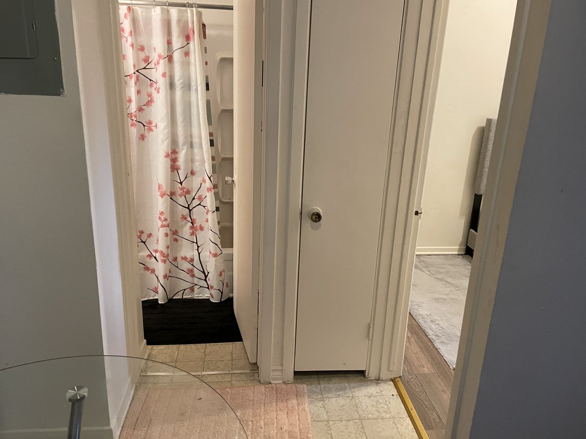 138 Rue Laval - Photo 5