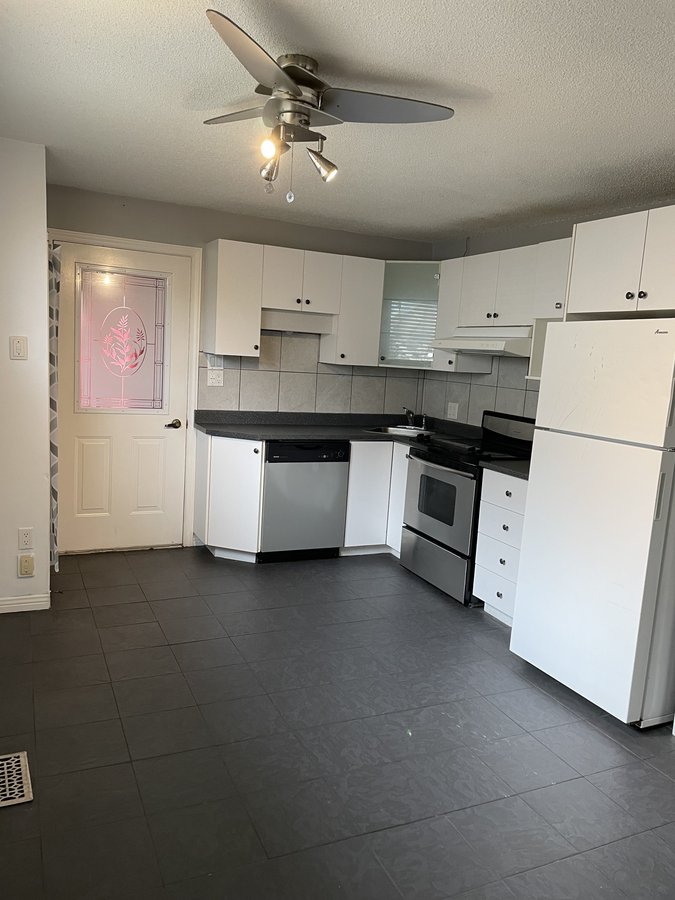 331 Rue Laramée - Photo 1