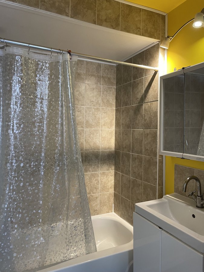 331 Rue Laramée - Photo 6