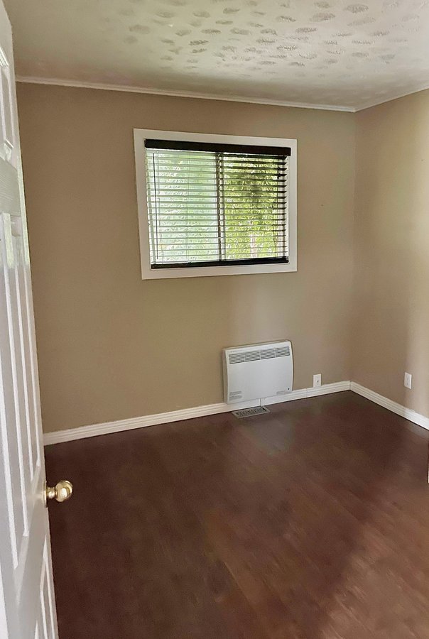 331 Rue Laramée - Photo 5