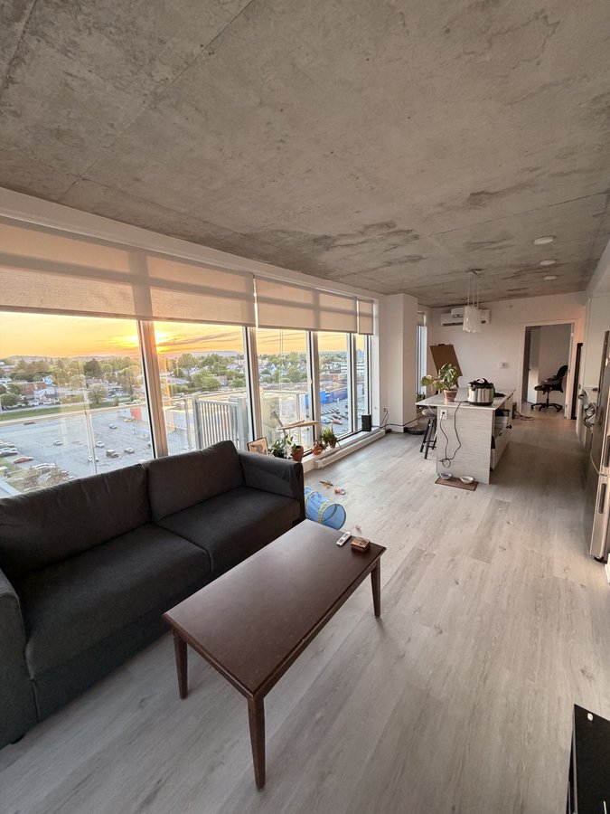 388 Boulevard Saint-Joseph - Photo 1