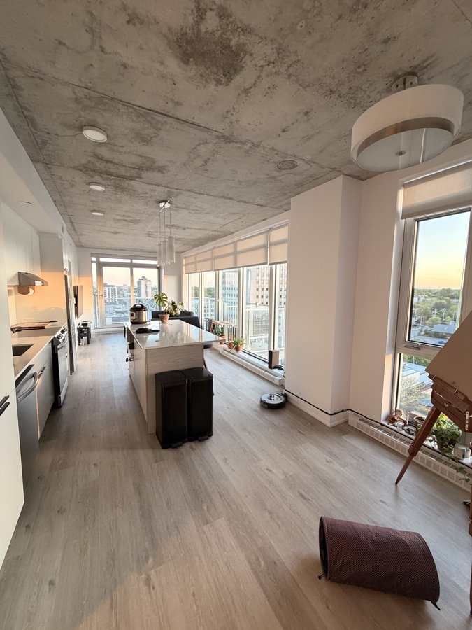 388 Boulevard Saint-Joseph - Photo 2