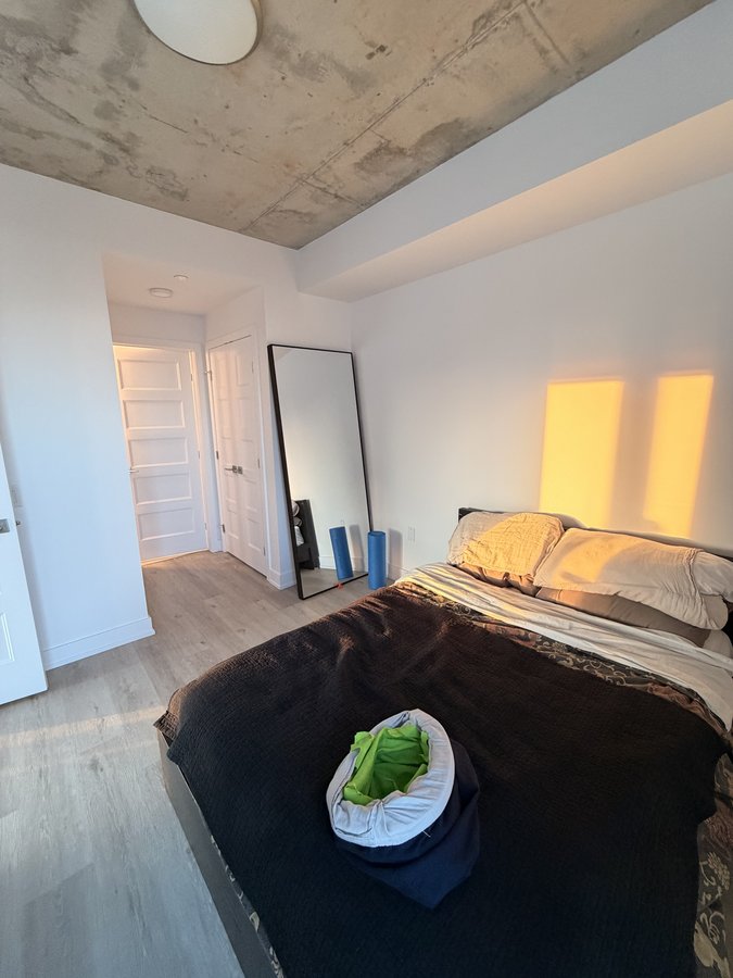 388 Boulevard Saint-Joseph - Photo 3