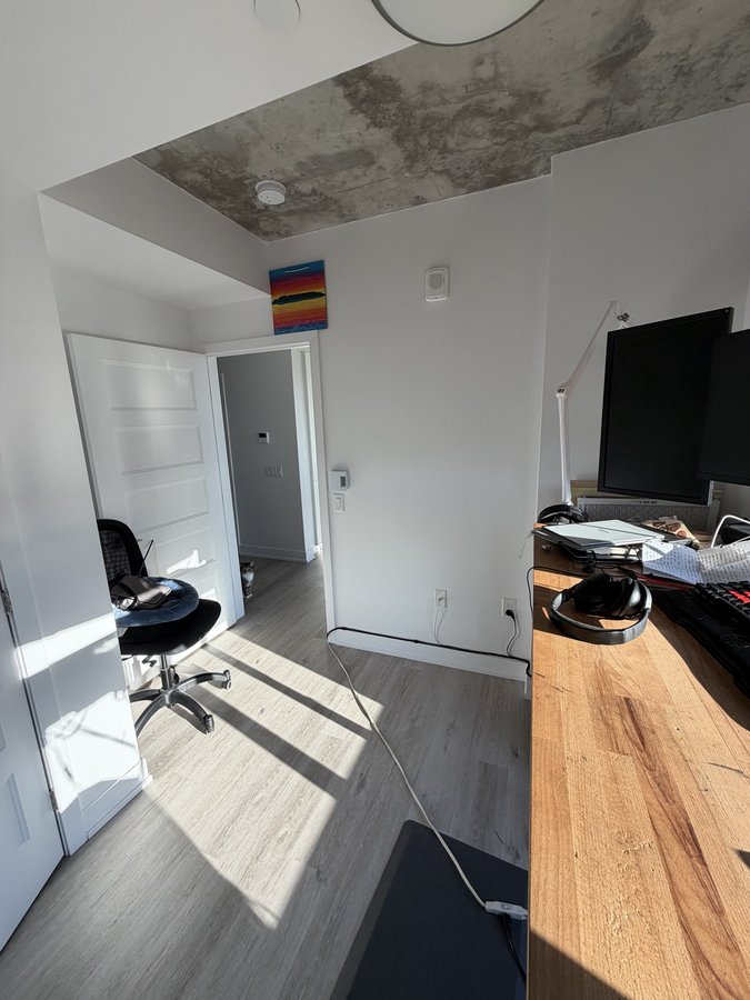 388 Boulevard Saint-Joseph - Photo 6