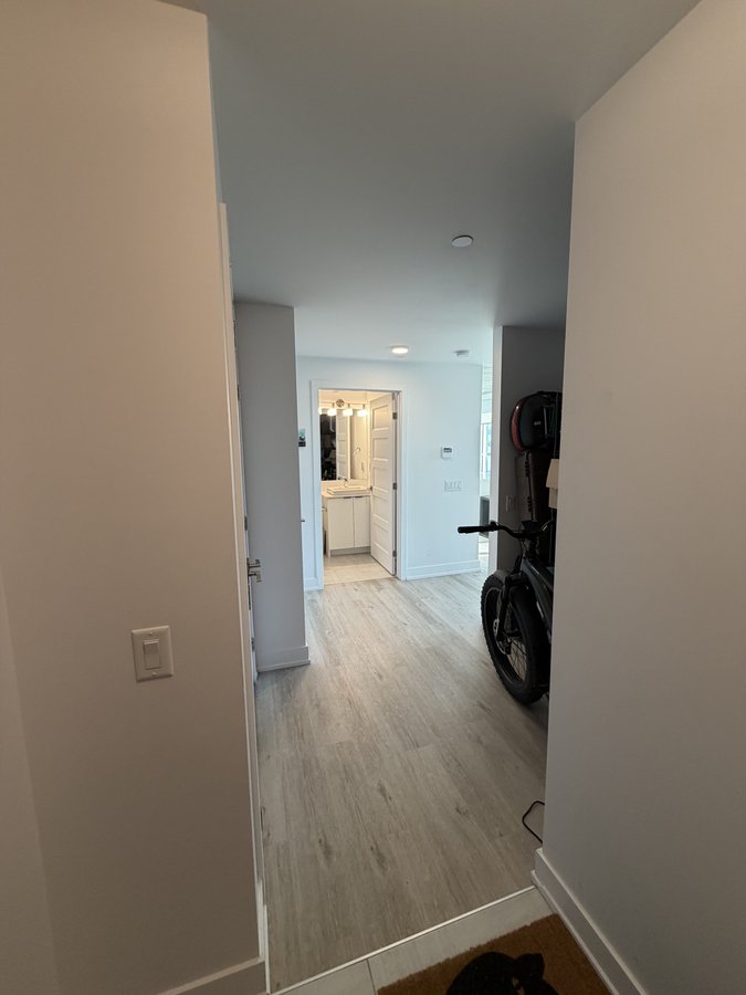 388 Boulevard Saint-Joseph - Photo 8