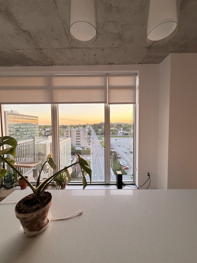 388 Boulevard Saint-Joseph - Photo 14