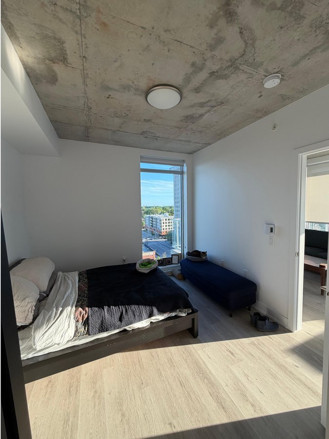 388 Boulevard Saint-Joseph - Photo 4