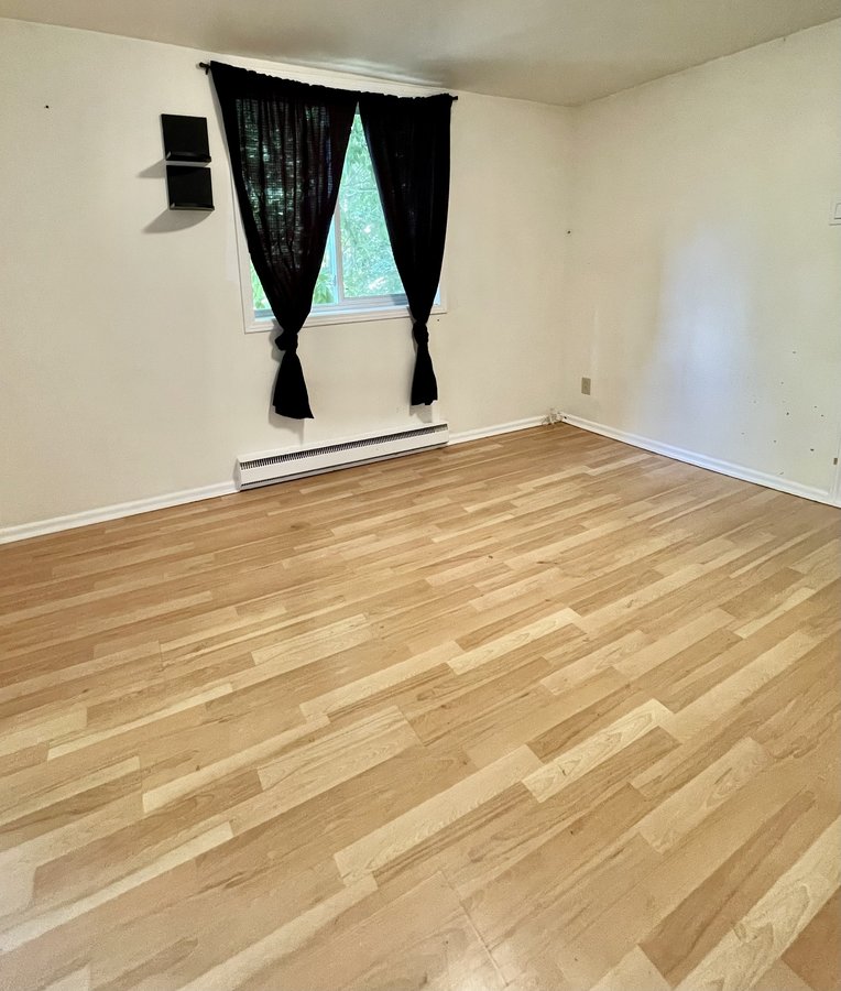 138 Rue Laval - Photo 1
