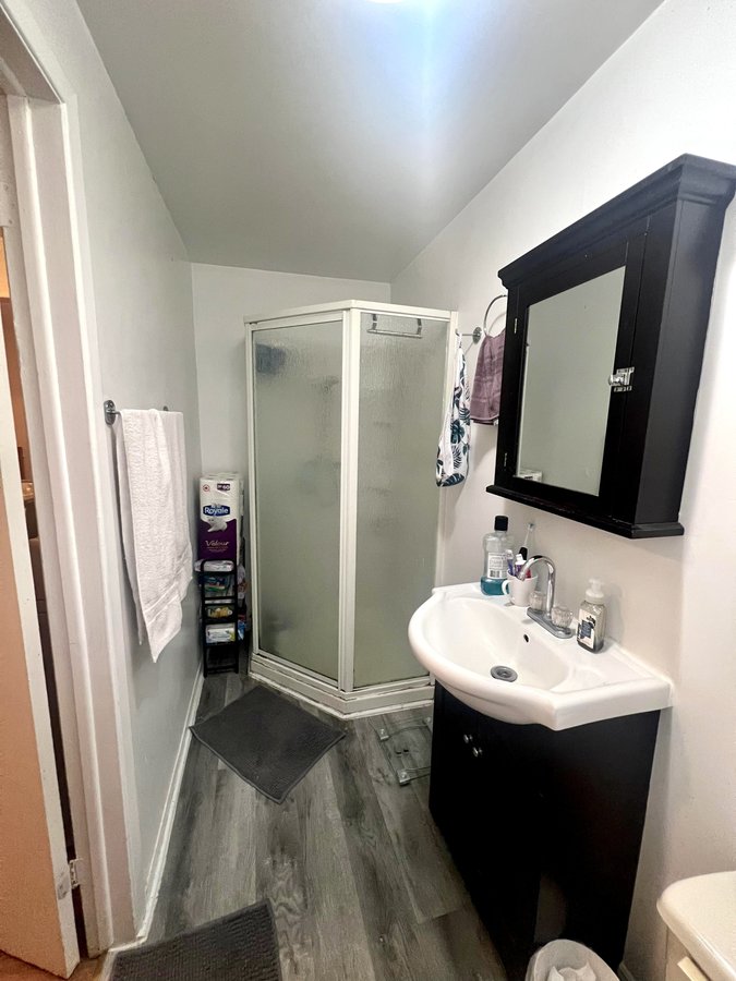 209 Rue Laval - Photo 8