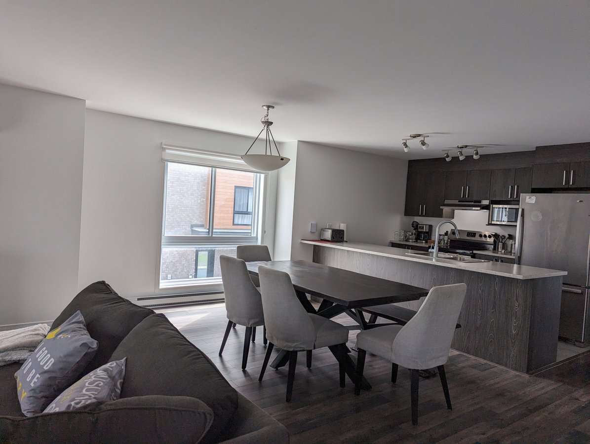 165 Rue Nancy-Elliott - Photo 2