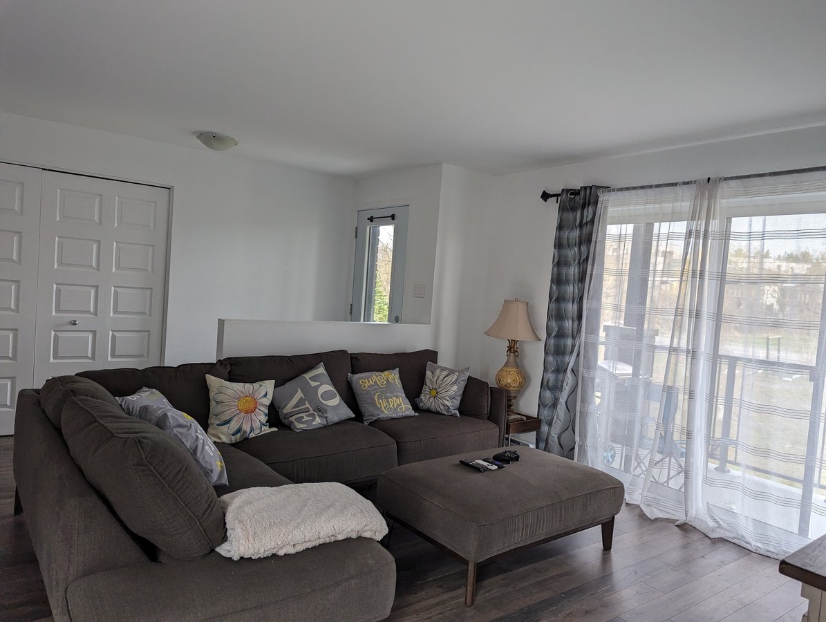 165 Rue Nancy-Elliott - Photo 5