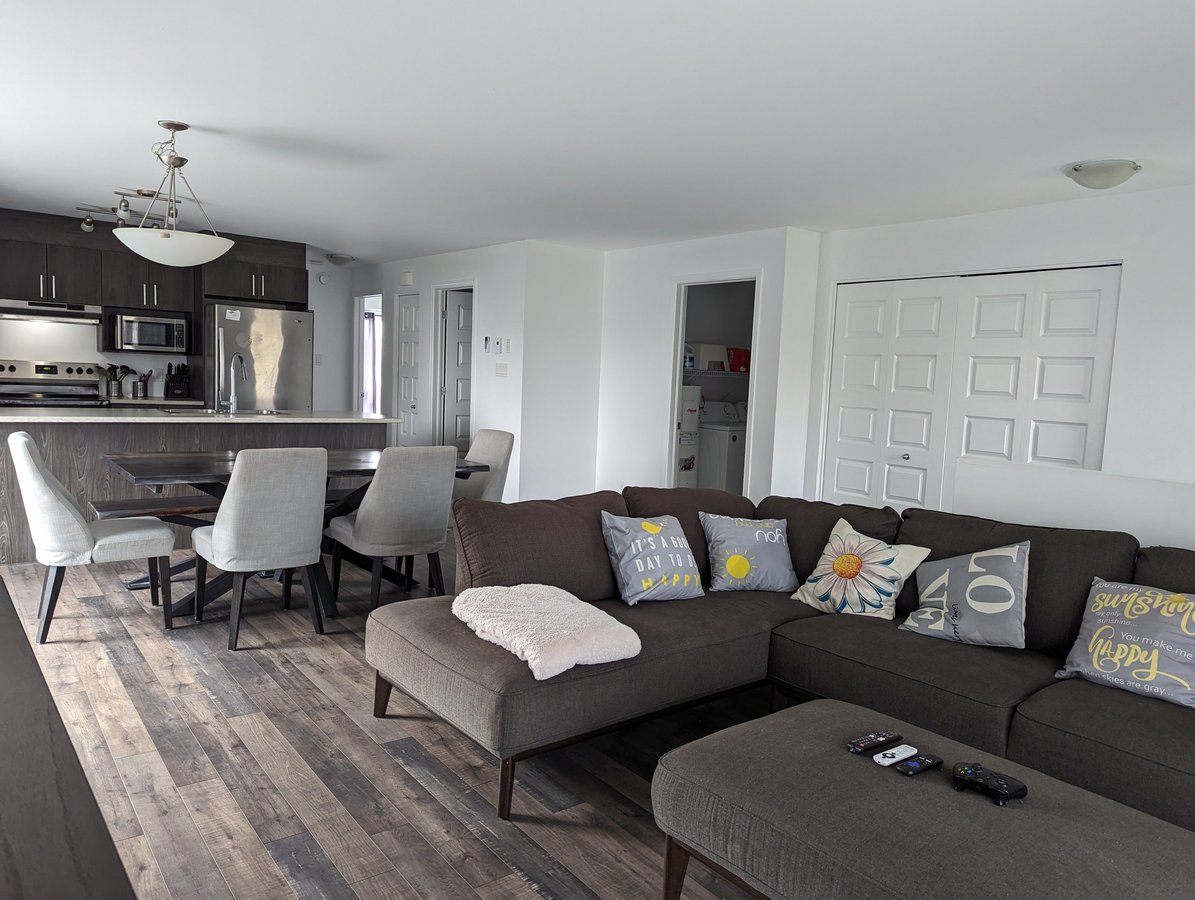 165 Rue Nancy-Elliott - Photo 7