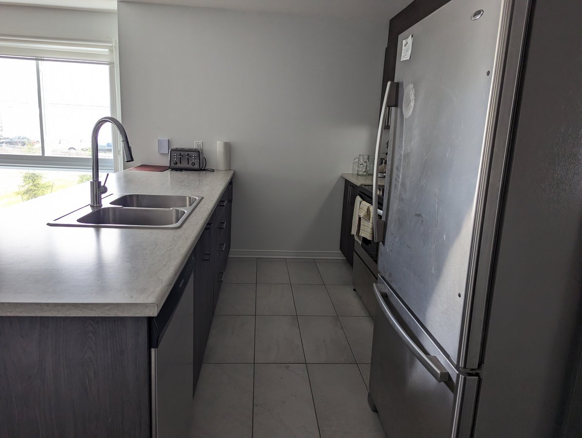 165 Rue Nancy-Elliott - Photo 9