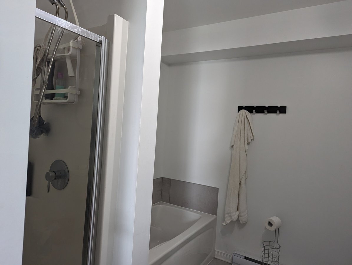 165 Rue Nancy-Elliott - Photo 11