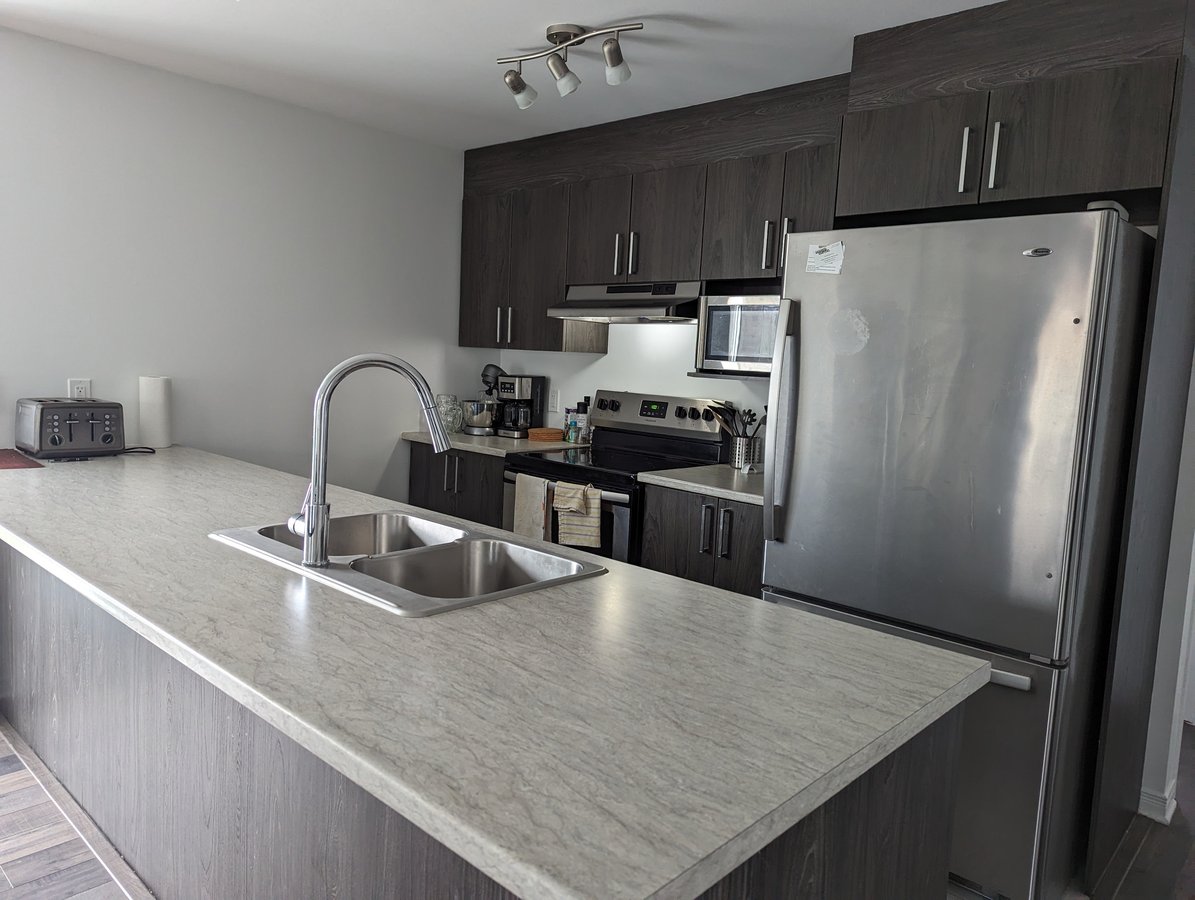 165 Rue Nancy-Elliott - Photo 10