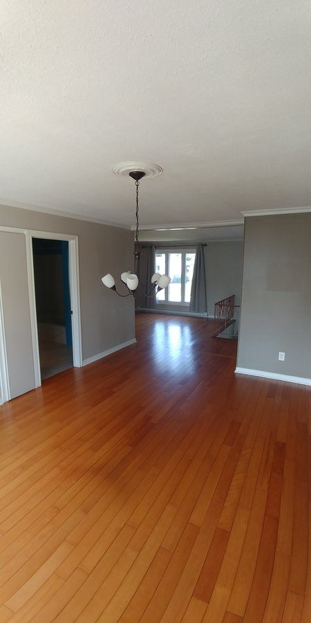 14 Rue de Drapeau - Photo 5