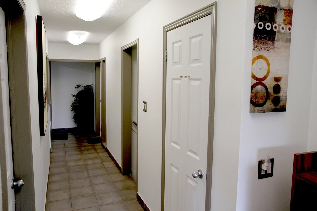31 Boulevard Saint-Joseph - Photo 6
