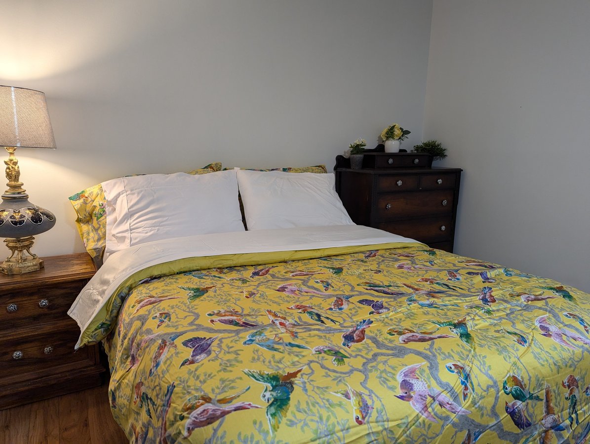 23 Rue Leblanc - Photo 2