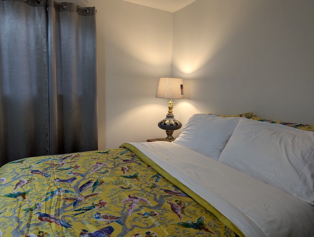 23 Rue Leblanc - Photo 20