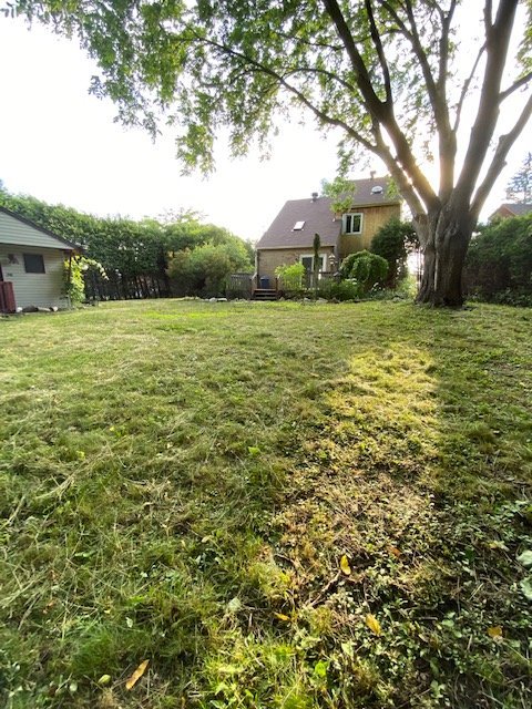 48 Rue Maillard - Photo 55