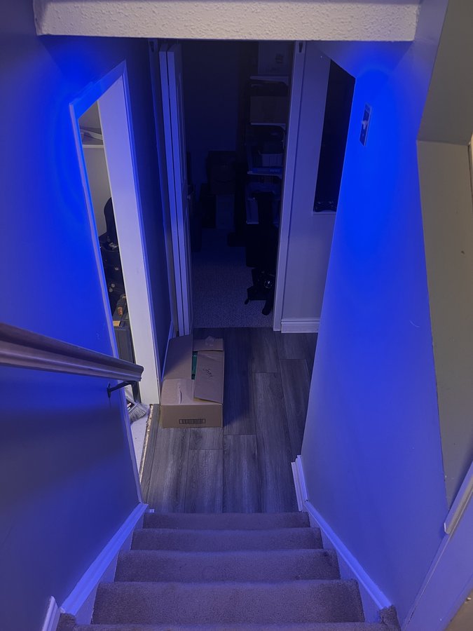 6461 Colony Square - Photo 13