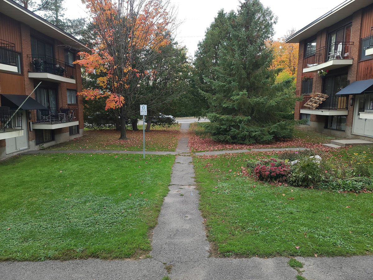 627 Carson's Road - Photo 10