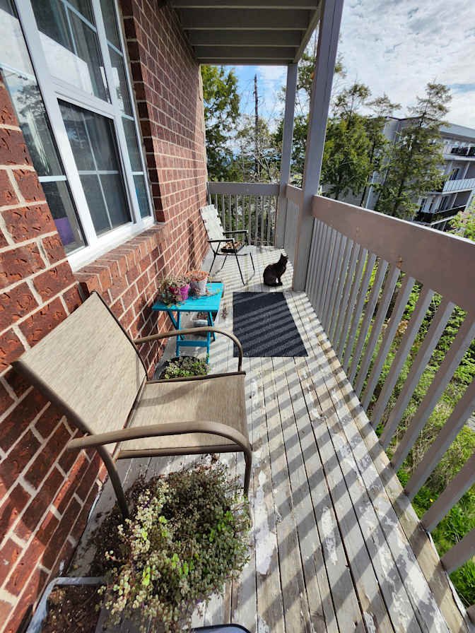 Charlotte Lane - Photo 5