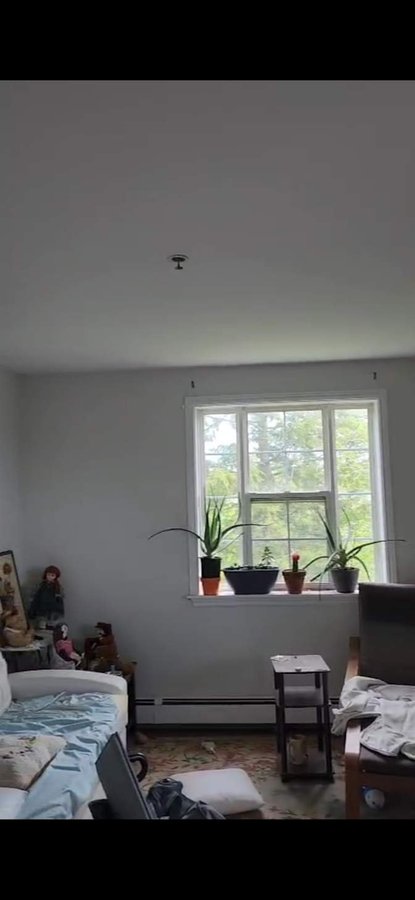 Charlotte Lane - Photo 10