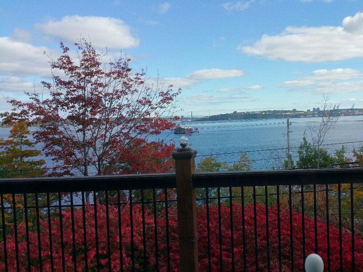 50 Dakin Drive - Photo 29