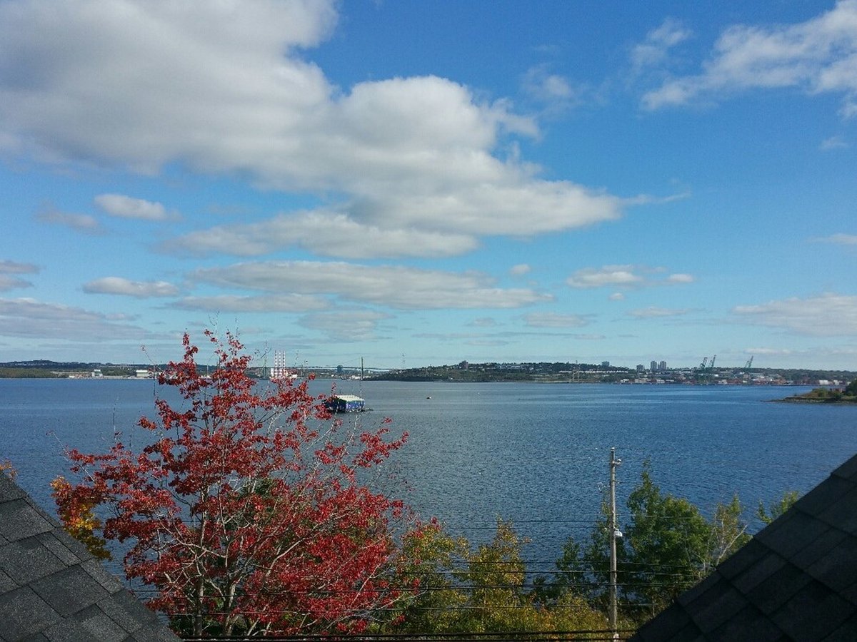 50 Dakin Drive - Photo 30