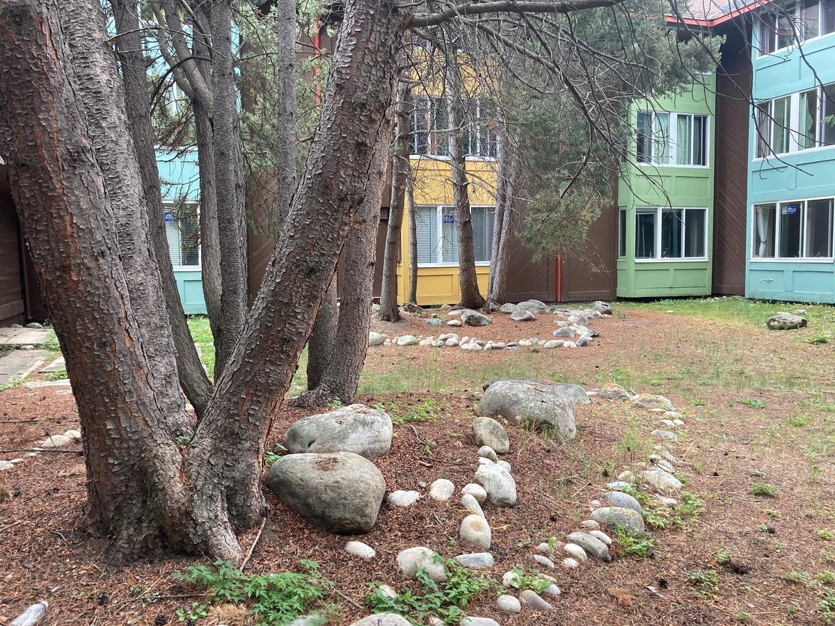 Rentals.ca Jasper Apartments, Condos and Houses For Rent