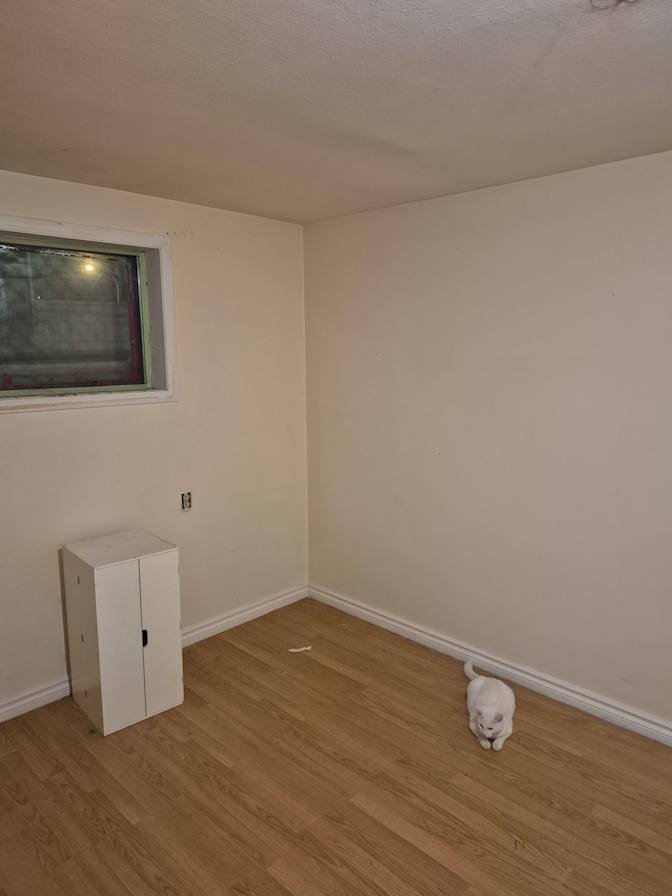 Halston Avenue - Photo 5
