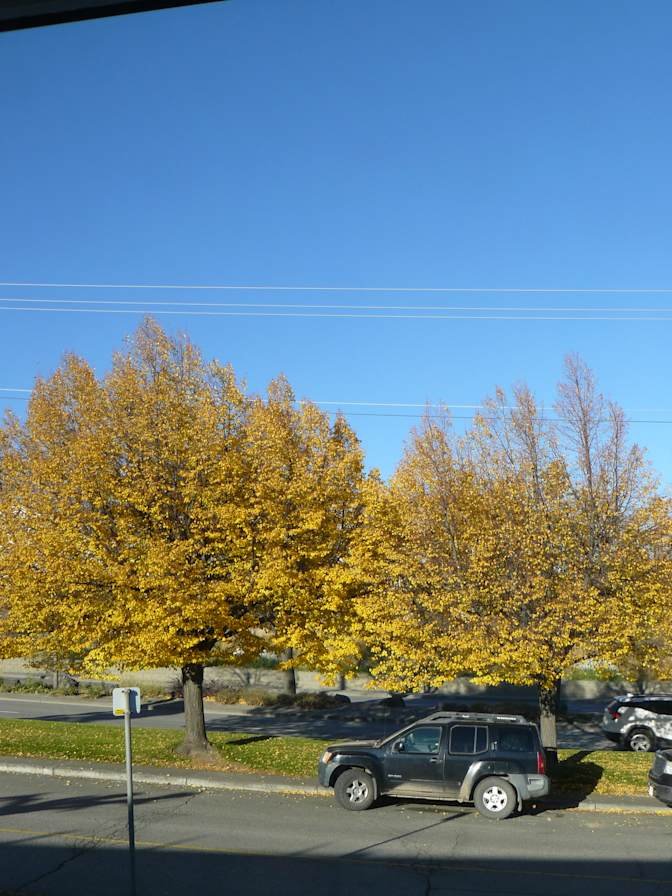 Thompson-Nicola Regional District - Photo 6
