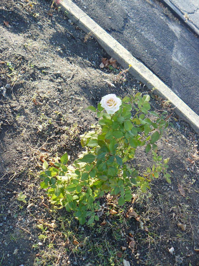 Thompson-Nicola Regional District - Photo 17