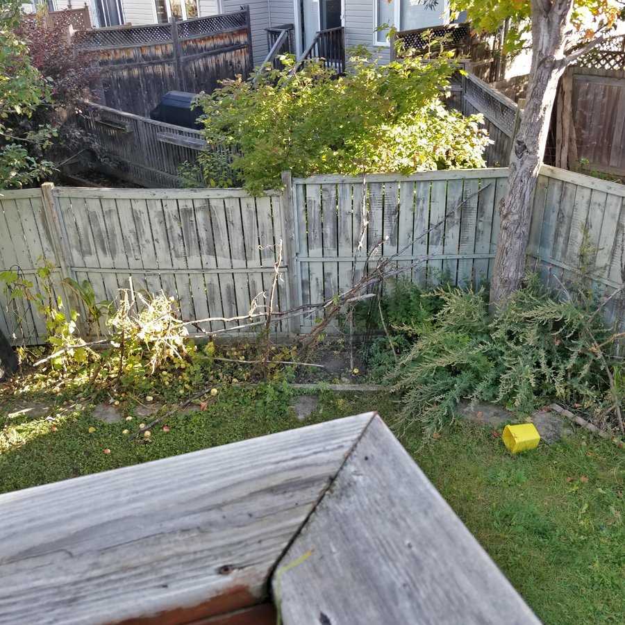 43 Helmsdale Drive - Photo 5