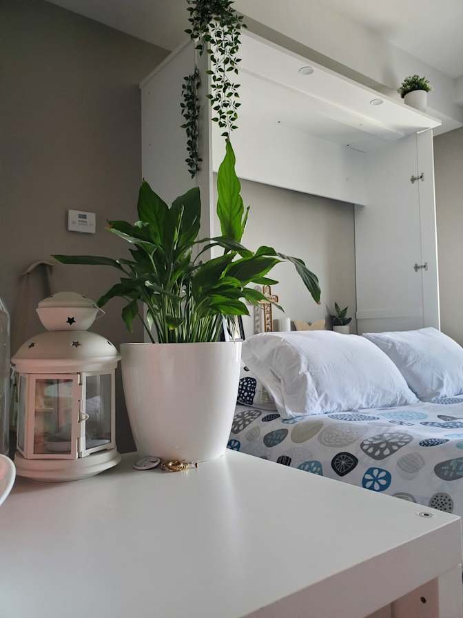 Leon Avenue - Photo 1