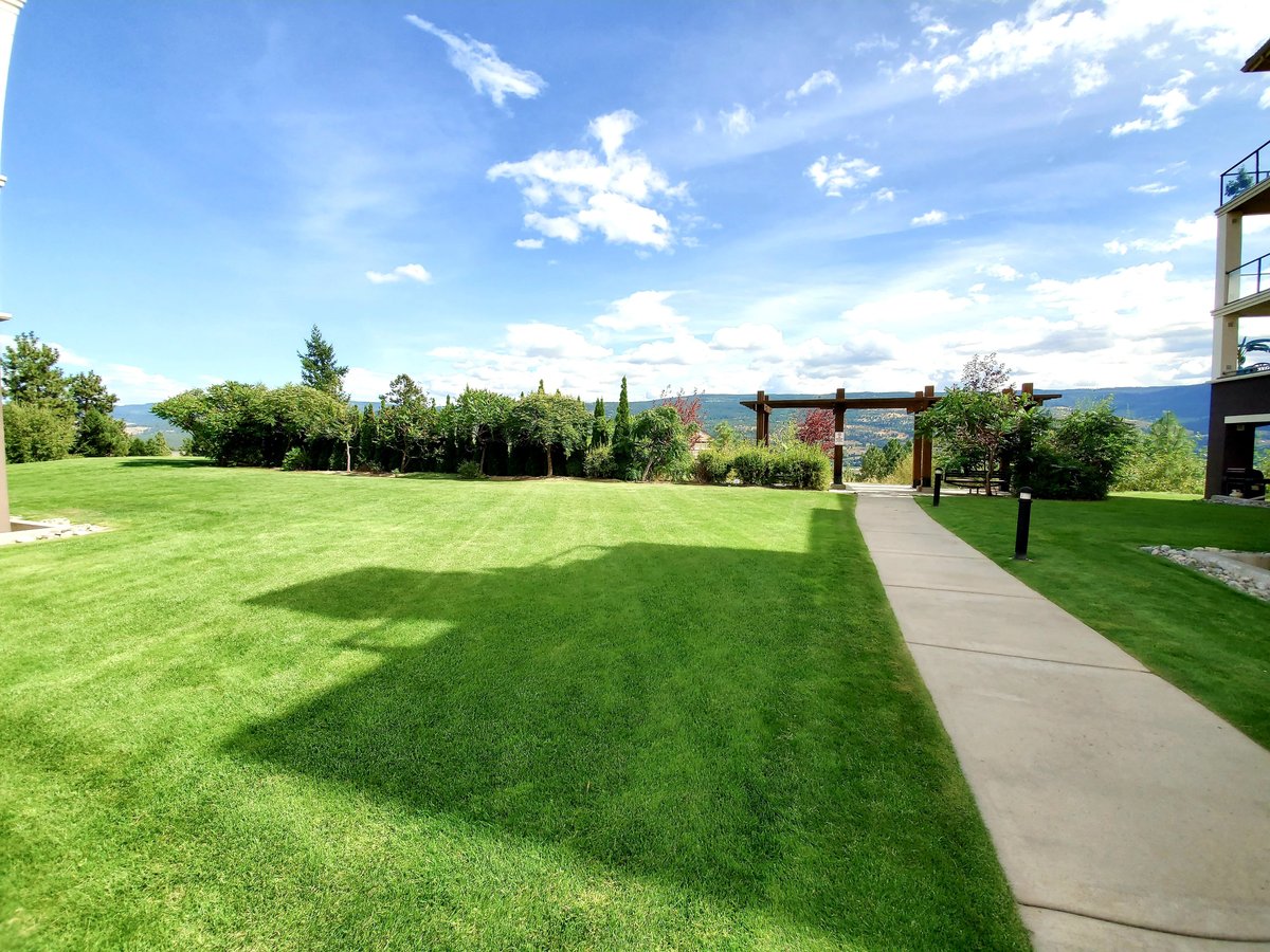1875 Country Club Drive - Photo 18