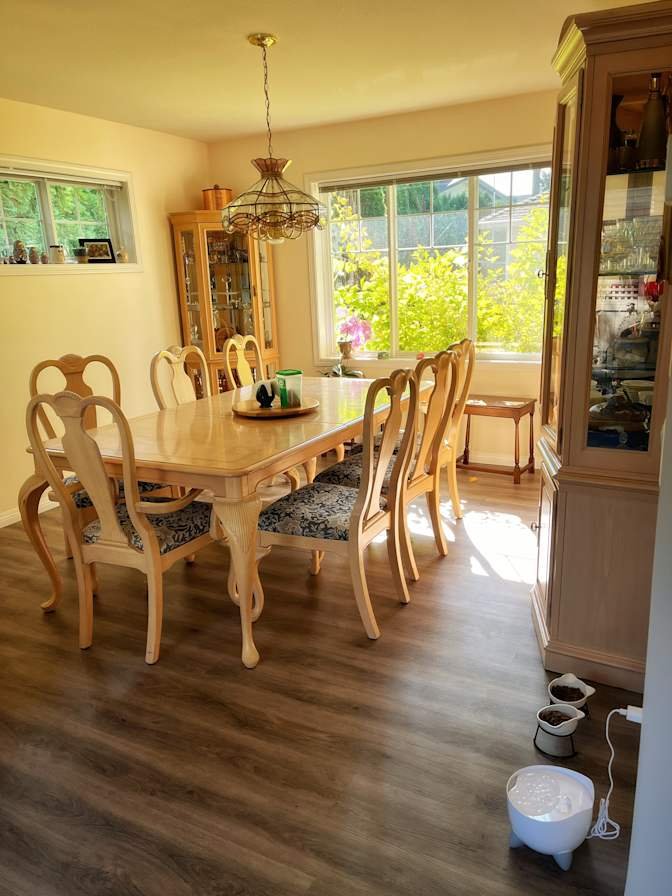 Cook Road - Photo 8
