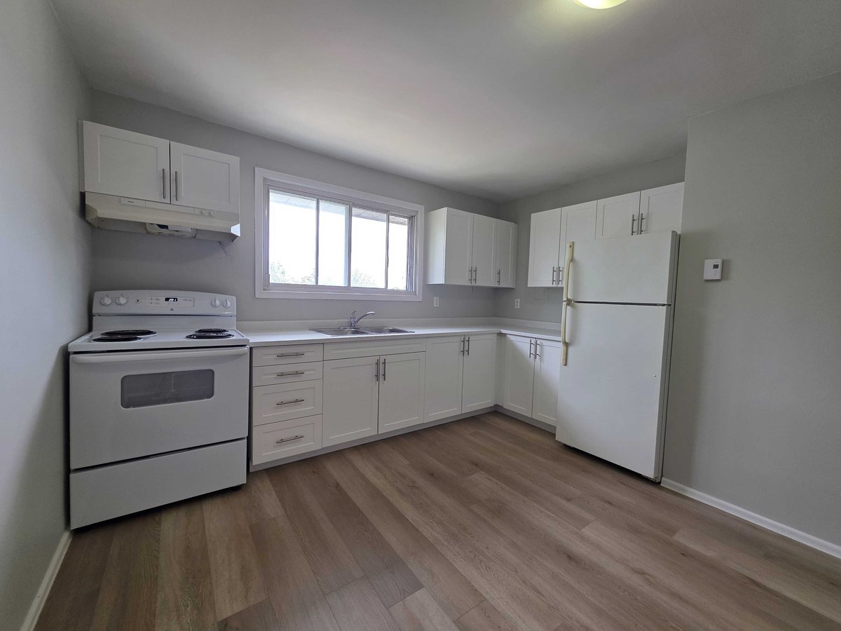 20 Daly Street - Photo 3