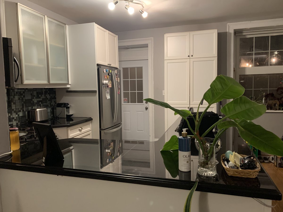 Kingston Furnished Apartments Condos and Houses for Rent