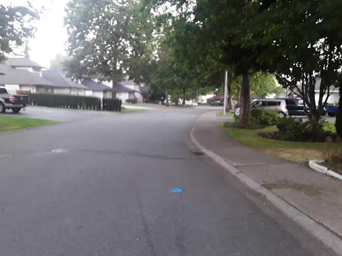 Nicomekl - Photo 2