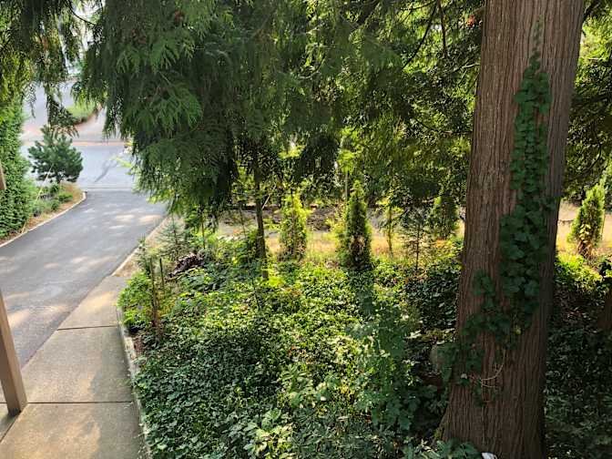 200a Street - Photo 4