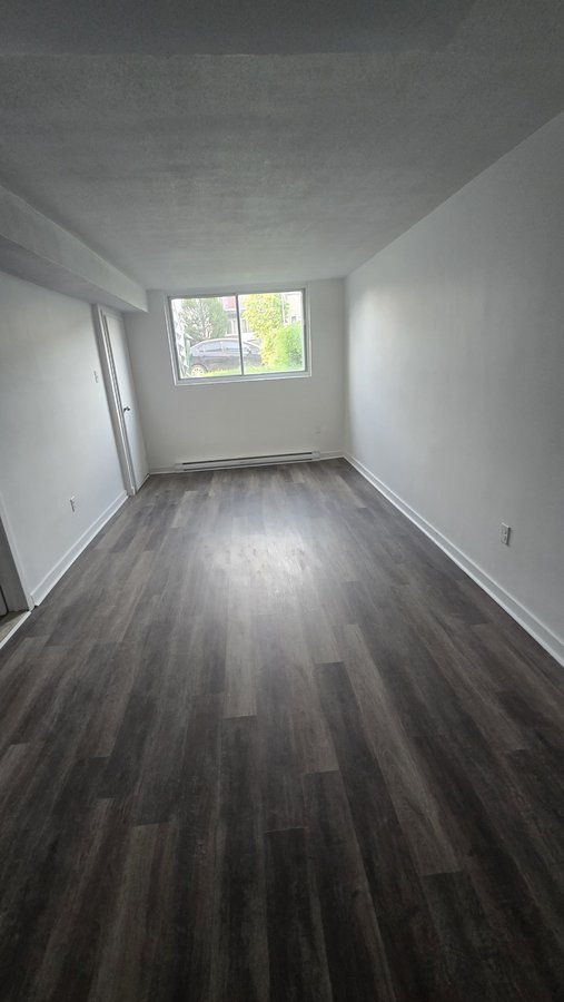 1102 Rue Sylvestre - Photo 1