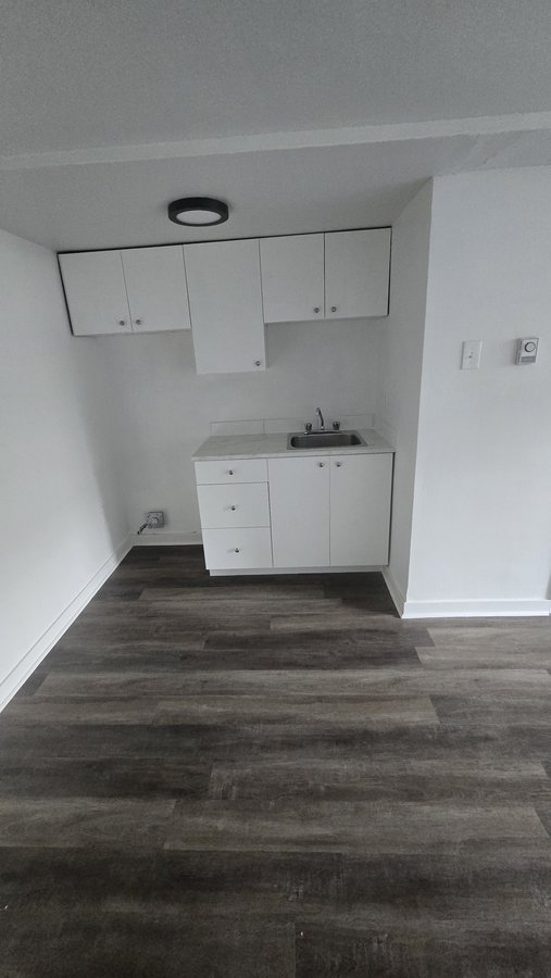 1102 Rue Sylvestre - Photo 3