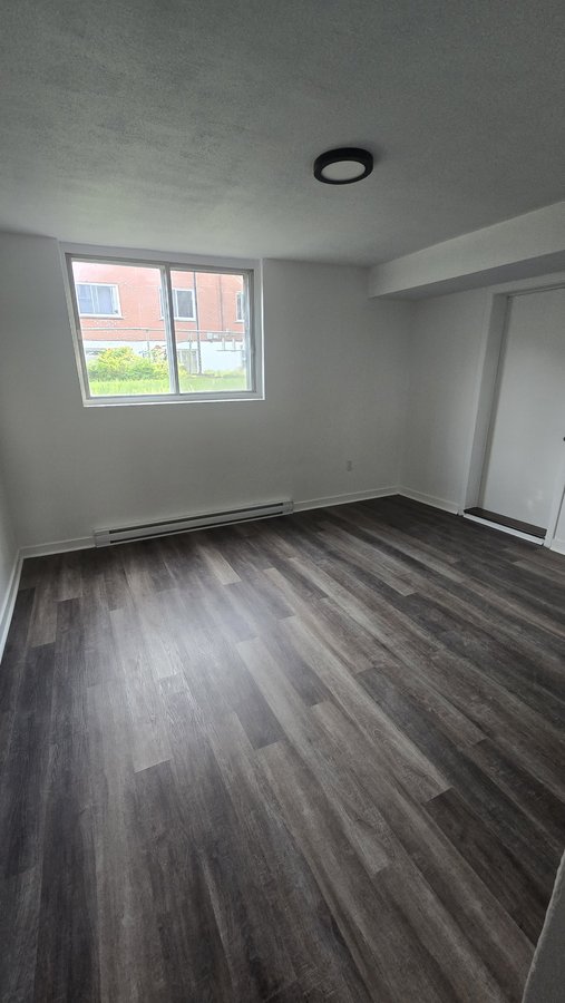 1102 Rue Sylvestre - Photo 6