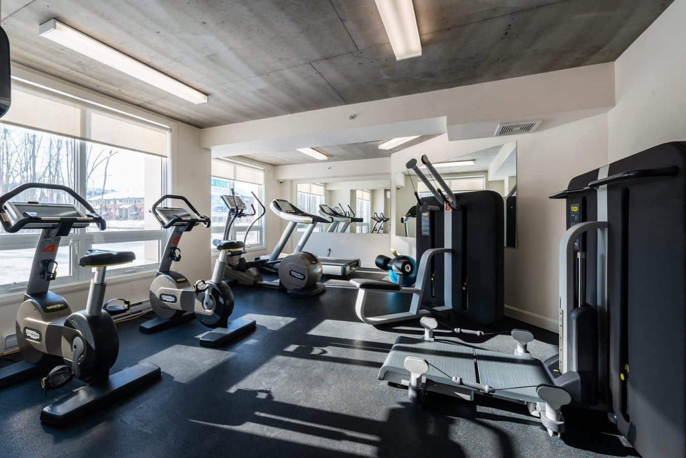 3410 Boulevard Saint-Elzéar Ouest - Photo 11