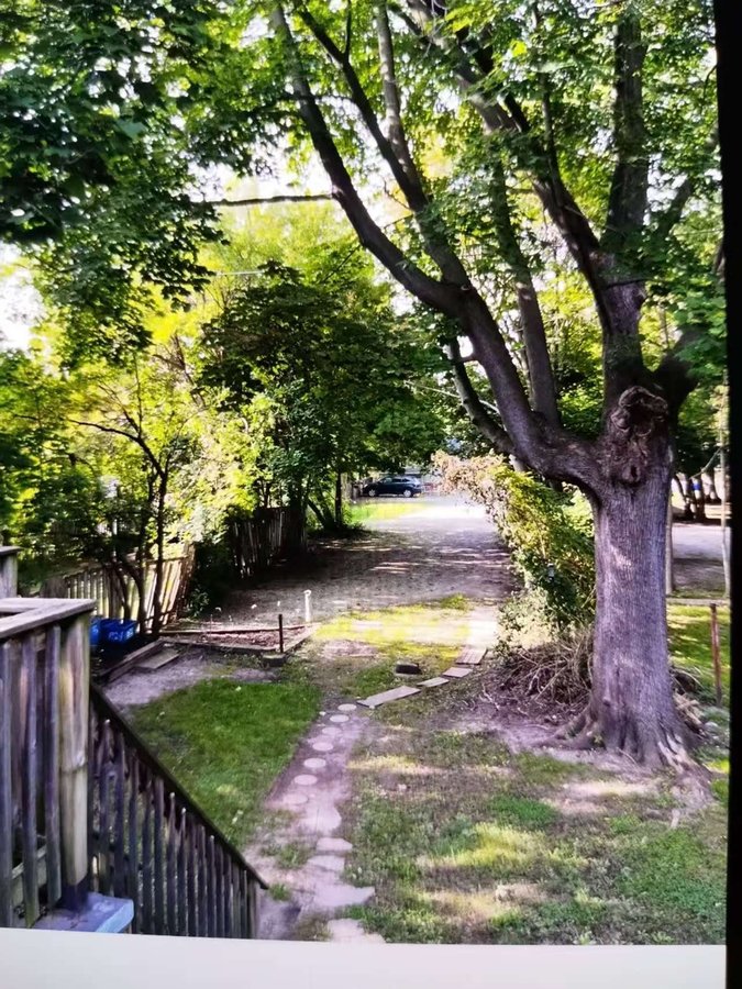 192 Huron Street - Photo 2