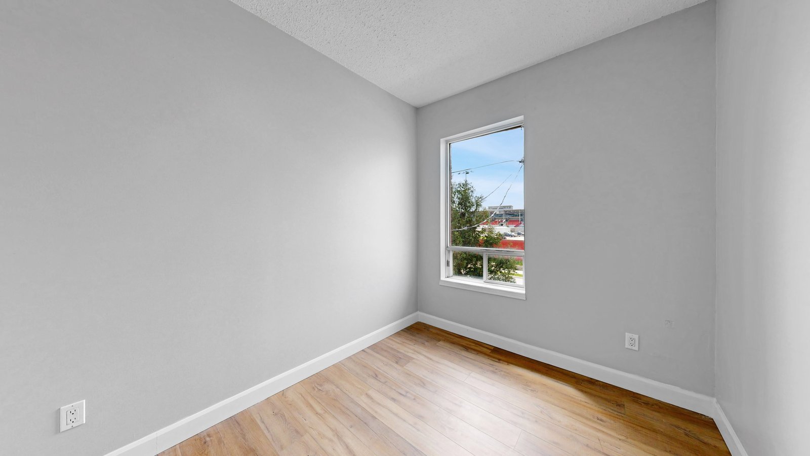 520 Egerton Street - Photo 14